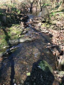 Bäche führen zur Weihnachtszeit 2023 reichlich Wasser