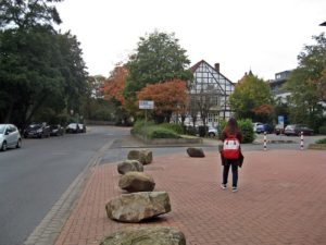 21905709_387592918324471_10432168_n