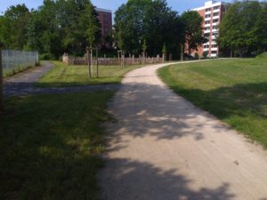 Weg im Stadtteilpark