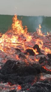 Keine Waldbrand sondern ein harmloses Osterfeuer